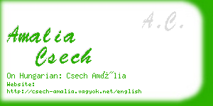 amalia csech business card